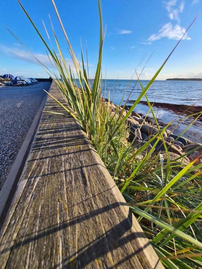Danhostel Stevns Klint Hostal Store Heddinge