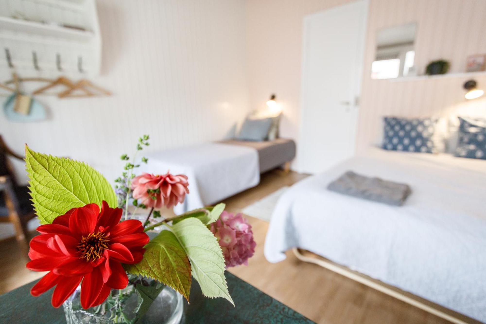 Danhostel Stevns Klint *